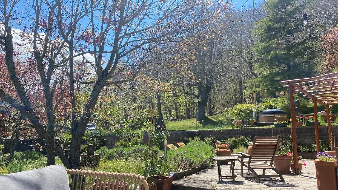 Bed and Breakfast La Colombaia Amiata Arcidosso Bed & Breakfast