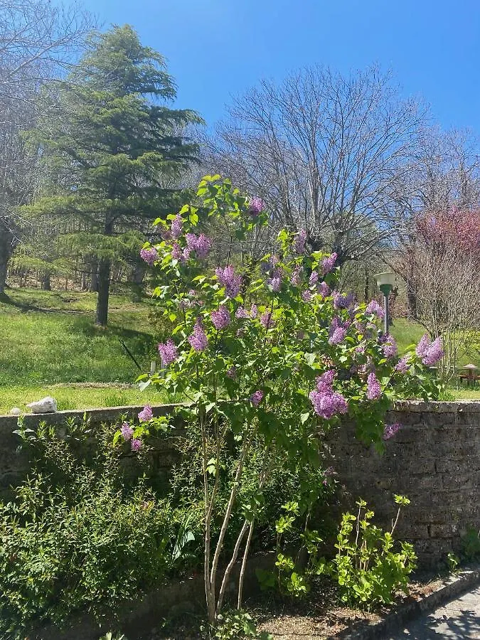 Bed and Breakfast La Colombaia Amiata Arcidosso Bed & Breakfast